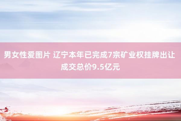 男女性爱图片 辽宁本年已完成7宗矿业权挂牌出让 成交总价9.5亿元