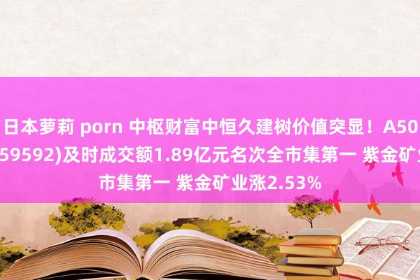 日本萝莉 porn 中枢财富中恒久建树价值突显！A50ETF基金(159592)及时成交额1.89亿元名次全市集第一 紫金矿业涨2.53%