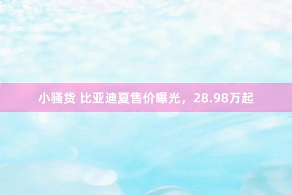 小骚货 比亚迪夏售价曝光，28.98万起