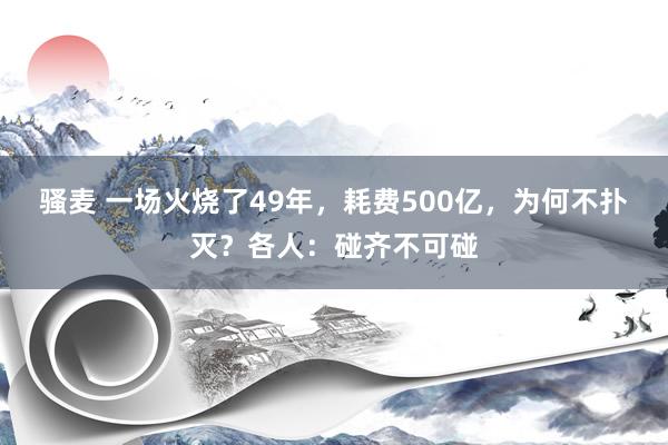 骚麦 一场火烧了49年，耗费500亿，为何不扑灭？各人：碰齐不可碰