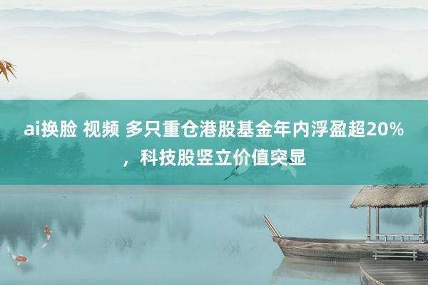 ai换脸 视频 多只重仓港股基金年内浮盈超20%，科技股竖立价值突显