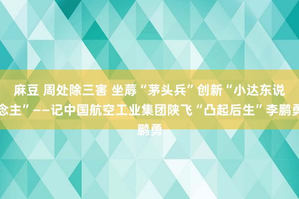 麻豆 周处除三害 坐蓐“茅头兵”创新“小达东说念主”——记中国航空工业集团陕飞“凸起后生”李鹏勇