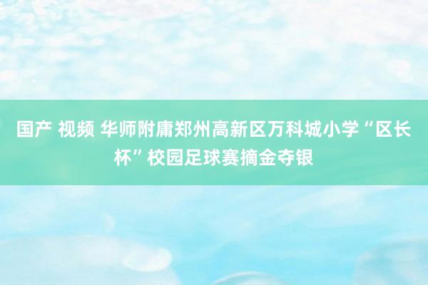 国产 视频 华师附庸郑州高新区万科城小学“区长杯”校园足球赛摘金夺银