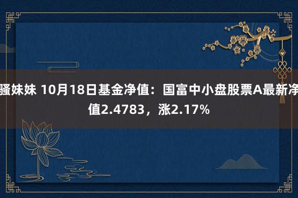 骚妹妹 10月18日基金净值：国富中小盘股票A最新净值2.4783，涨2.17%