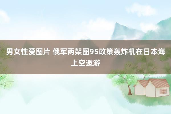 男女性爱图片 俄军两架图95政策轰炸机在日本海上空遨游