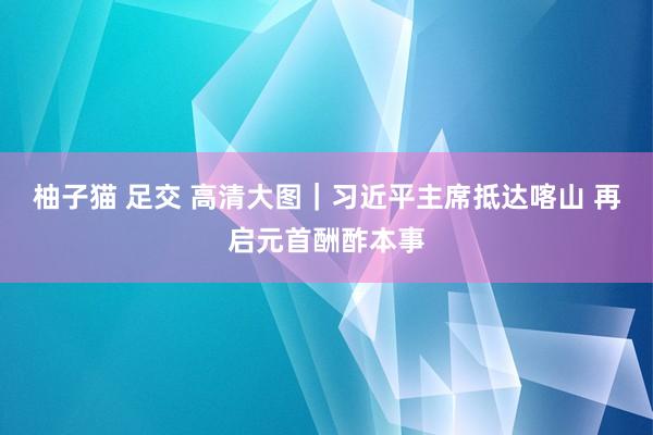 柚子猫 足交 高清大图｜习近平主席抵达喀山 再启元首酬酢本事