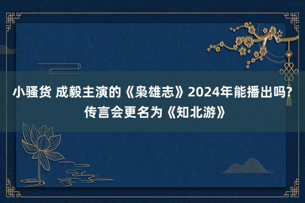 小骚货 成毅主演的《枭雄志》2024年能播出吗? 传言会更名为《知北游》