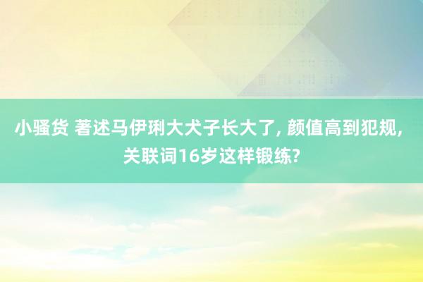 小骚货 著述马伊琍大犬子长大了， 颜值高到犯规， 关联词16岁这样锻练?