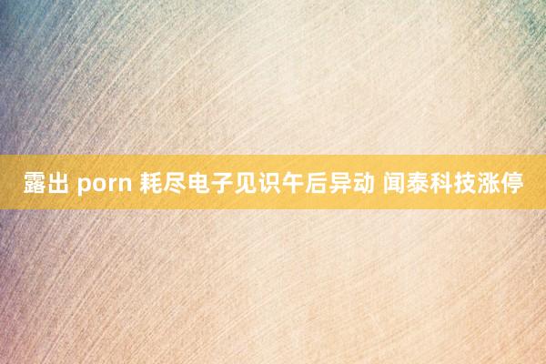 露出 porn 耗尽电子见识午后异动 闻泰科技涨停