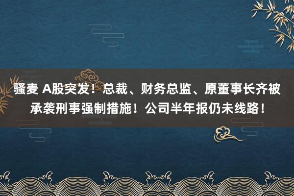 骚麦 A股突发！总裁、财务总监、原董事长齐被承袭刑事强制措施！公司半年报仍未线路！