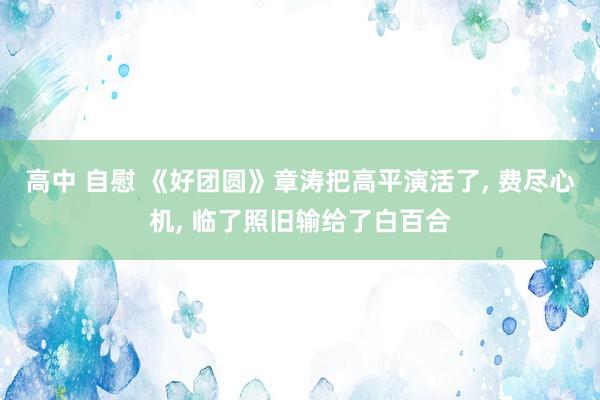 高中 自慰 《好团圆》章涛把高平演活了， 费尽心机， 临了照旧输给了白百合