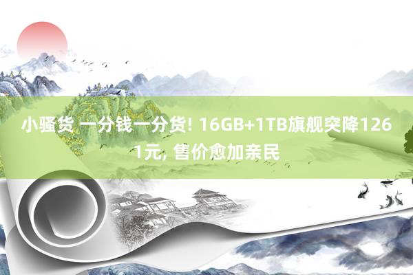 小骚货 一分钱一分货! 16GB+1TB旗舰突降1261元， 售价愈加亲民