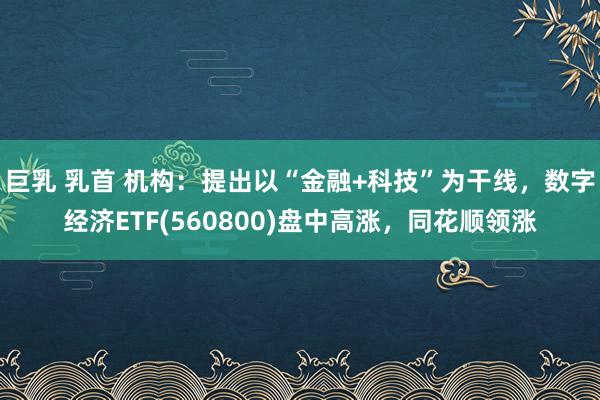 巨乳 乳首 机构：提出以“金融+科技”为干线，数字经济ETF(560800)盘中高涨，同花顺领涨