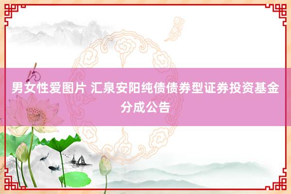 男女性爱图片 汇泉安阳纯债债券型证券投资基金分成公告