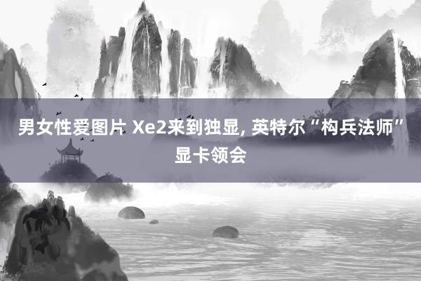 男女性爱图片 Xe2来到独显， 英特尔“构兵法师”显卡领会