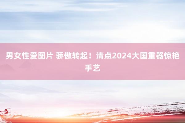 男女性爱图片 骄傲转起！清点2024大国重器惊艳手艺