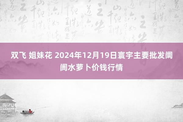 双飞 姐妹花 2024年12月19日寰宇主要批发阛阓水萝卜价钱行情