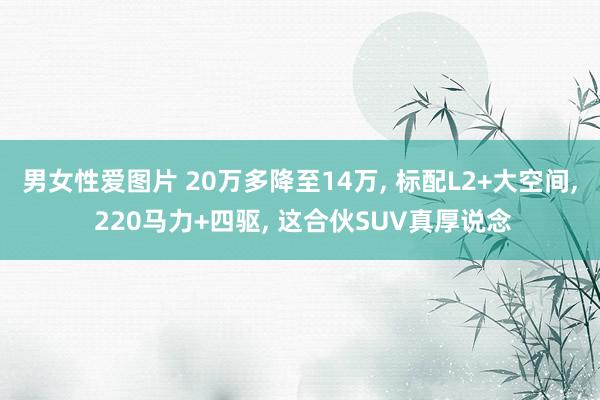 男女性爱图片 20万多降至14万， 标配L2+大空间， 220马力+四驱， 这合伙SUV真厚说念