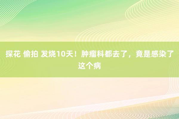 探花 偷拍 发烧10天！肿瘤科都去了，竟是感染了这个病