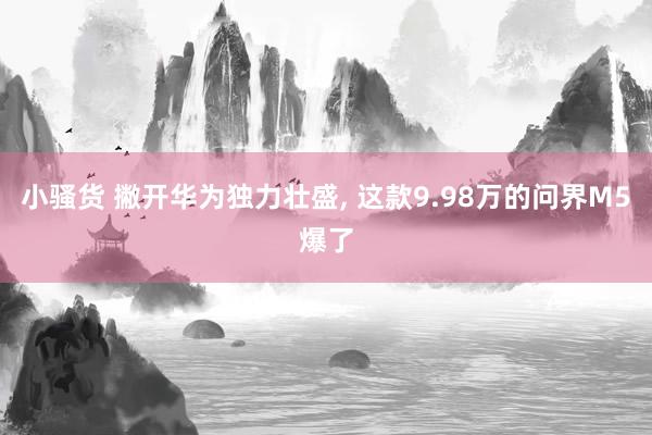 小骚货 撇开华为独力壮盛， 这款9.98万的问界M5爆了