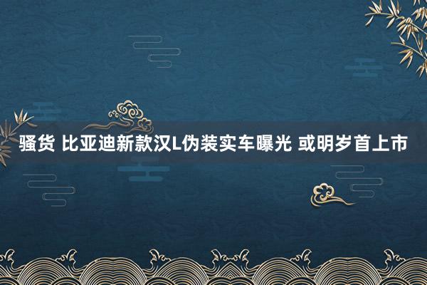 骚货 比亚迪新款汉L伪装实车曝光 或明岁首上市