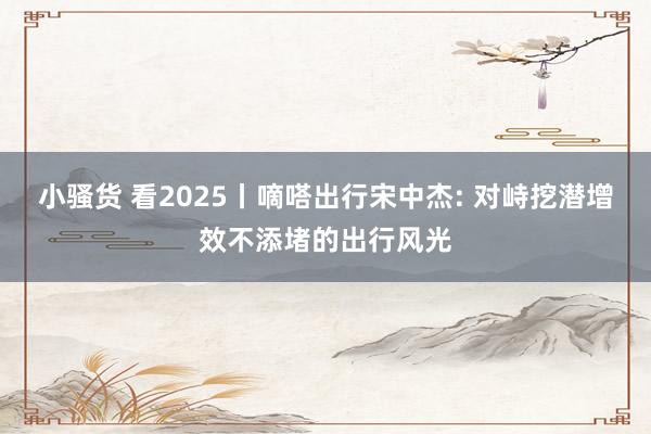 小骚货 看2025丨嘀嗒出行宋中杰: 对峙挖潜增效不添堵的出行风光