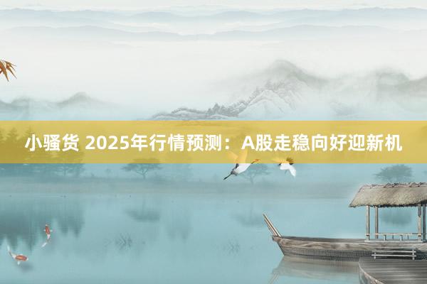 小骚货 2025年行情预测：A股走稳向好迎新机