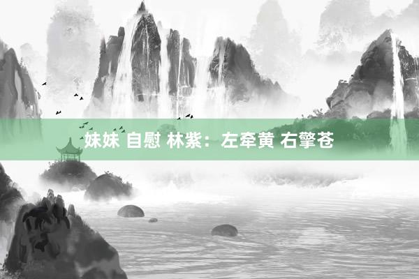 妹妹 自慰 林紫：左牵黄 右擎苍