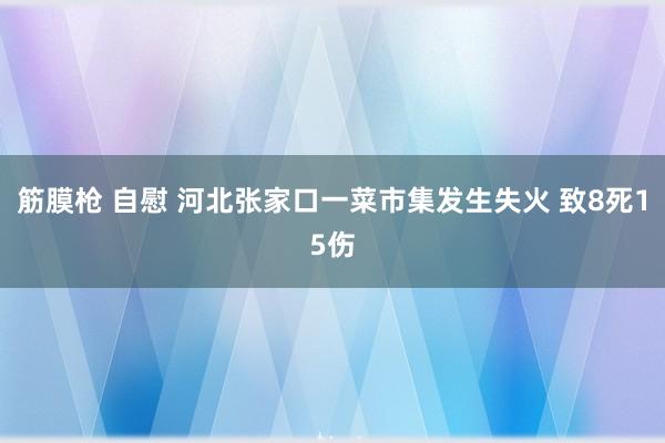 筋膜枪 自慰 河北张家口一菜市集发生失火 致8死15伤