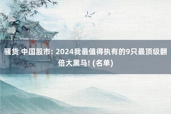 骚货 中国股市: 2024我最值得执有的9只最顶级翻倍大黑马! (名单)