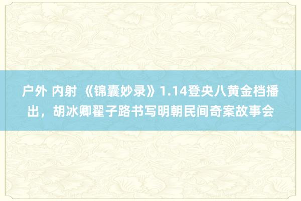 户外 内射 《锦囊妙录》1.14登央八黄金档播出，胡冰卿翟子路书写明朝民间奇案故事会