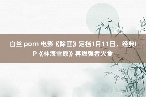 白丝 porn 电影《除匪》定档1月11日，经典IP《林海雪原》再燃强者火食